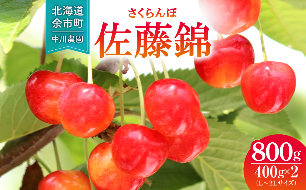 2027年発送【先行予約】令和9年産 さくらんぼ 佐藤錦【L～2Lサイズ】400g×2 【合同会社中川農園】_Y141-0004