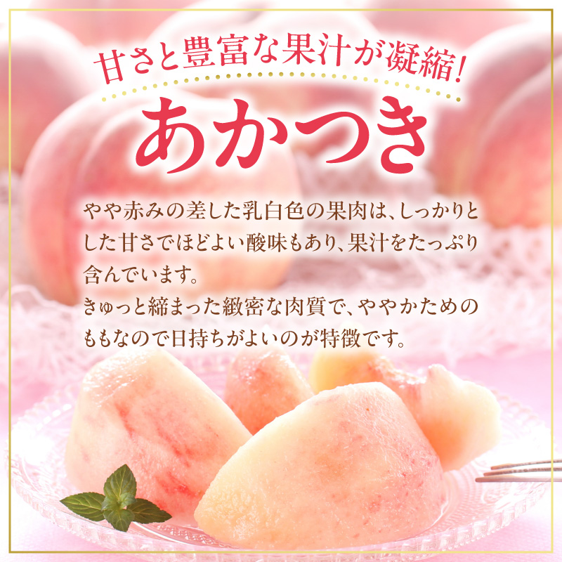 【先行予約：2026年8月中旬以降発送】フルーツ王国余市産「桃」 2kg【余市ふるさと納税推進センター】_Y160-0002