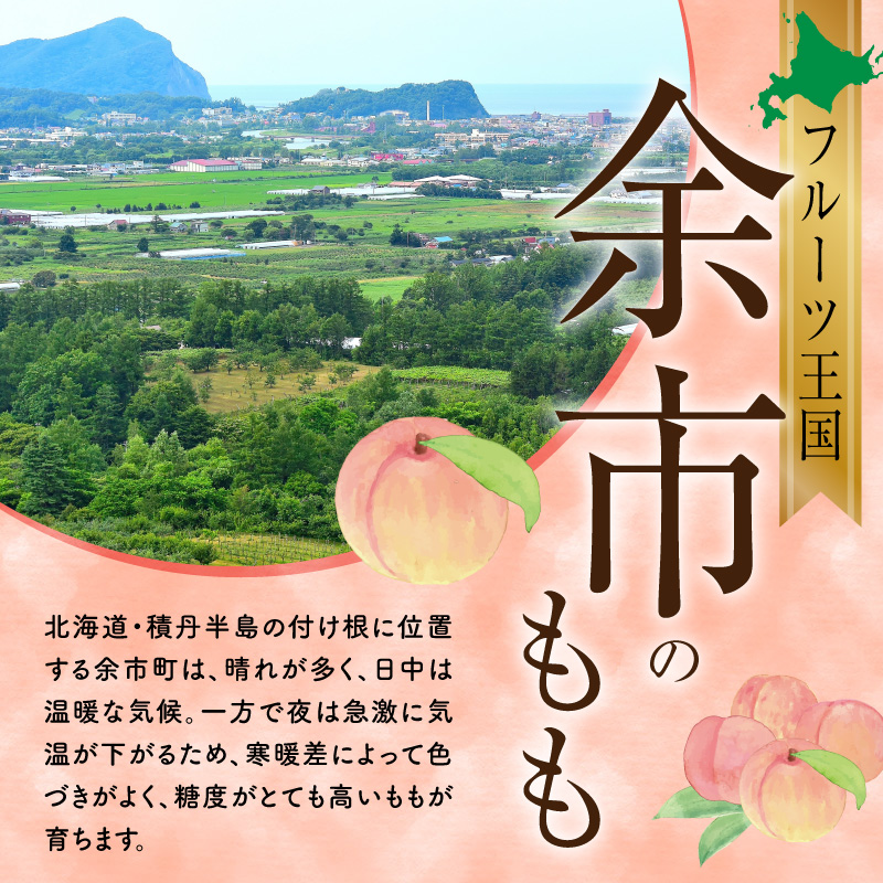 【先行予約：2026年8月中旬以降発送】フルーツ王国余市産「桃」 2kg【余市ふるさと納税推進センター】_Y160-0002