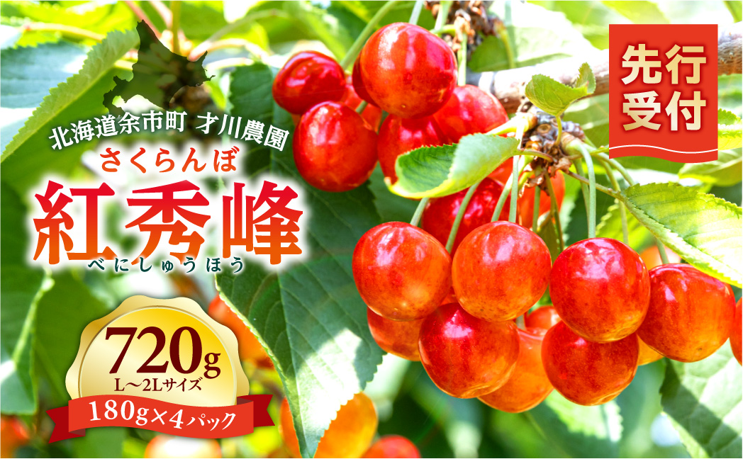 【先行予約：2026年7月上旬以降発送】北海道余市産 紅秀峰 720g L～2Lサイズ パリッと食感 才川農園 高糖度 完熟 大粒 濃厚な甘さ ギフト 送料無料_Y168-0002