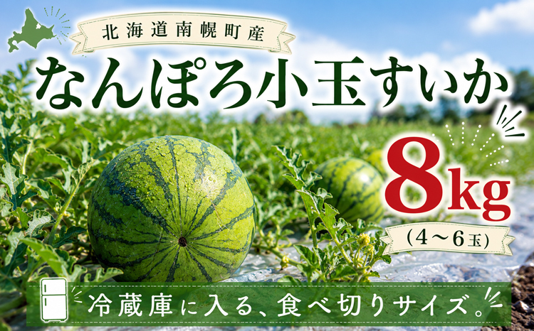 縲8譛育匱騾√大圏豬キ驕鍋肇 蟆冗脂繧ケ繧、繧ォ 邏8kg 4縲6邇 縺ェ繧薙⊃繧榊ー冗脂縺吶>縺 蜊怜ケ檎伴逕」