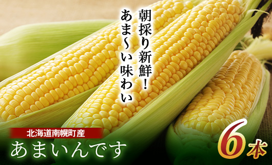 令和8年発送 北海道産 とうもろこし あまいんです6本 朝採れ 一番果 生食 産地直送 数量限定 期間限定