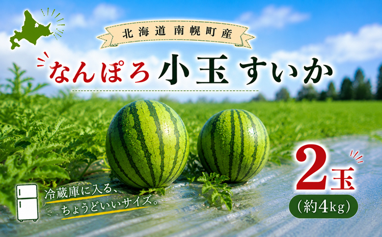 【8月発送】北海道産 小玉スイカ ２玉 約４kg なんぽろ小玉すいか 南幌町産