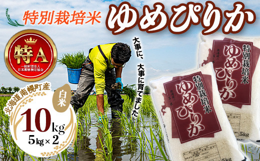 北海道産 特別栽培米 ゆめぴりか 白米 5kg×2袋 令和7年産 今摺り米 南幌町 NP1-408