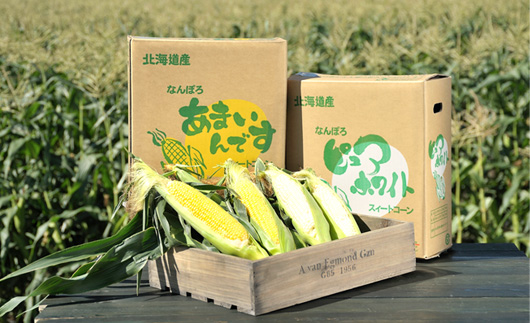 什å8幎çºé åæµ·éç£ ãšããããã é£ã¹æ¯ã¹ ãã¥ã¢ãã¯ã€ã3æ¬ïŒããŸããã§ã3æ¬ ææ¡ã äžçªæ çé£ ç£å°çŽé æ°ééå® æééå®