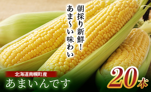 和8年発送 北海道産 とうもろこし あまいんです20本 朝採れ 一番果 生食 産地直送 数量限定 期間限定