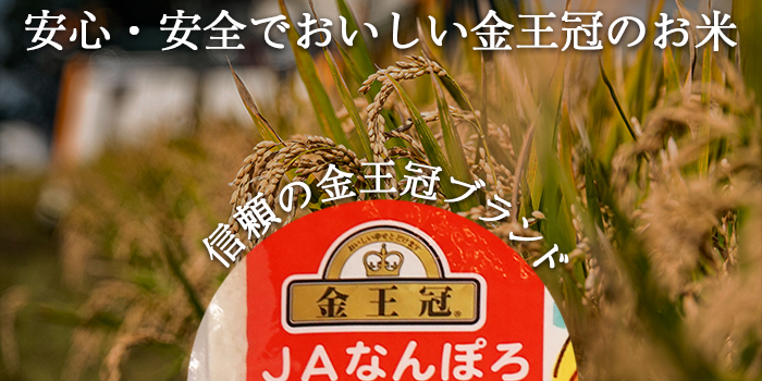 北海道産 ななつぼし 15kg【5kg×3カ月定期便】令和7年産 YES!clean 北海道安心ラベル 北海道南幌町 道産米 NP1-474