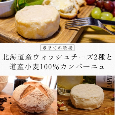 北海道産ウォッシュチーズ2種と道産小麦100%カンパーニュのセット【配送不可地域：離島】【1526052】