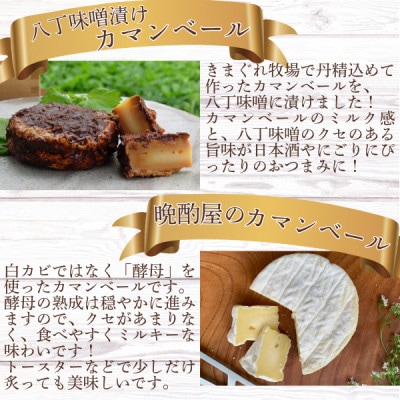 北海道産チーズのバラエティーセット(カマンベール・ウォッシュチーズ・ストリングチーズ)【配送不可地域：離島】【1690204】