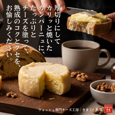 北海道産生乳100%|多数メディア紹介 大人の贅沢ウォッシュチーズ食べ比べ4種|きまぐれ牧場【配送不可地域：離島】【1577388】