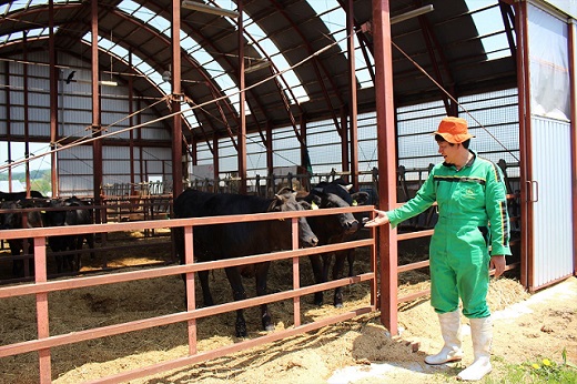 国産 御園和牛 手ごねハンバーグ・御園和牛丼セット