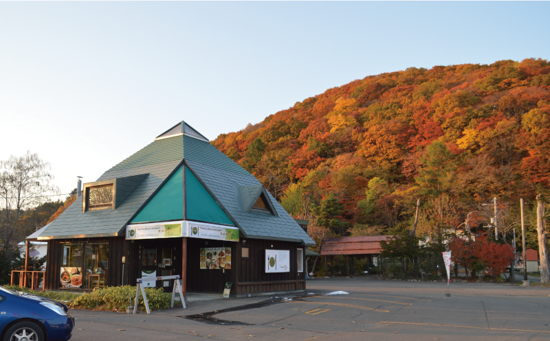 北海道産ポークカレーとプレーンナンセット