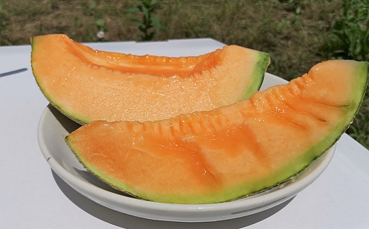 ã倧çããšãããèè§ŠãïŒæ±å±±èŸ²å Žç£ãã³ã°ã¡ãã³ 1ç