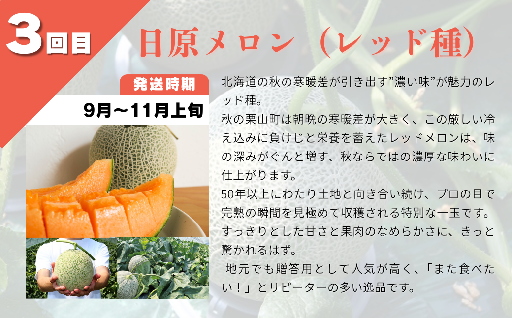 北海道産赤肉メロン3種定期便（1玉×3回）