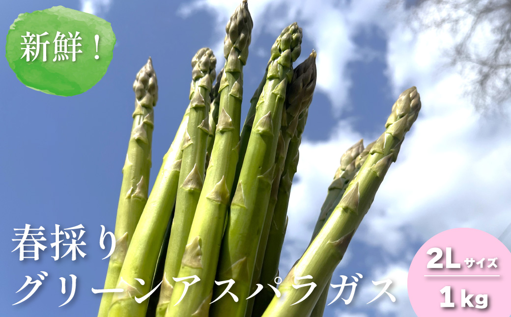 新鮮！春採り グリーンアスパラガス2Lサイズ1kg 東山農場