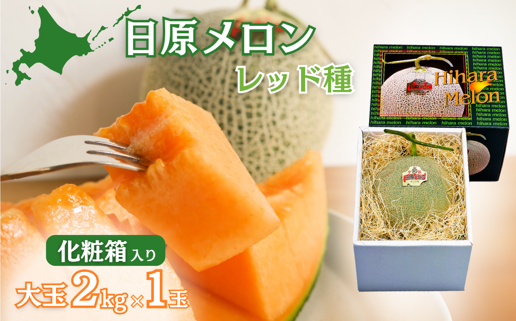 【先行予約】大玉「日原メロン（レッド種）」（ 2.0kg相当×1玉 北海道産）カラー化粧箱入り