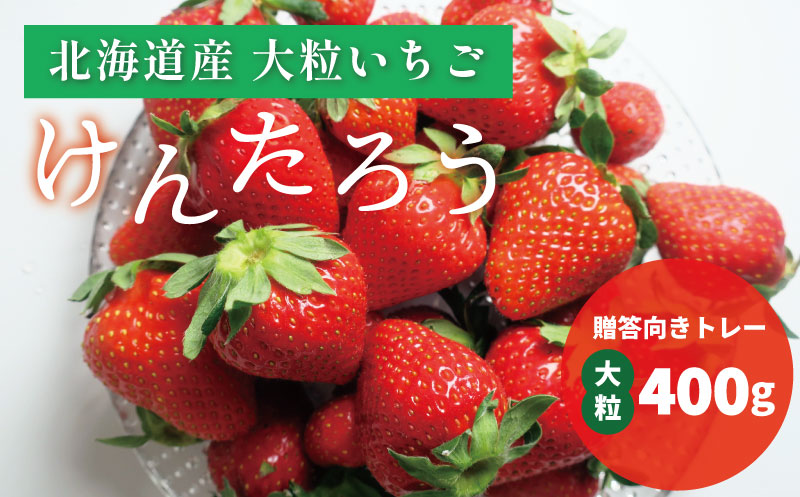 【先行予約】おがファームの道産子いちご 大粒「けんたろう」400g