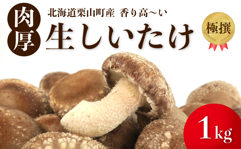 【贈答用】北海道の自然で育った極撰肉厚しいたけ