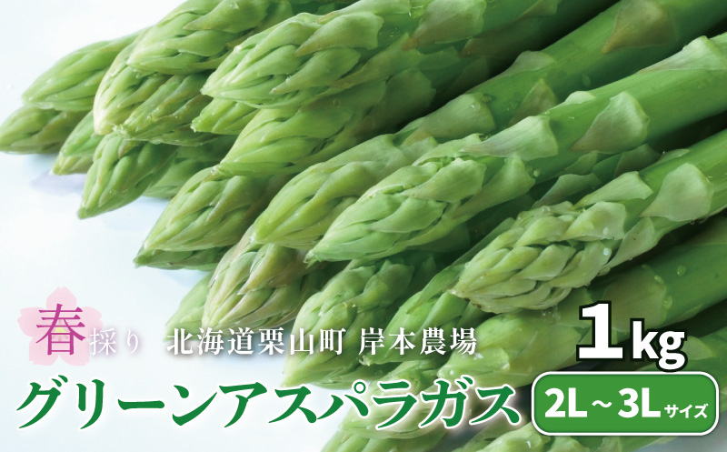【極太】北海道産 春採り グリーン アスパラガス 1kg　3L〜2L 岸本農場