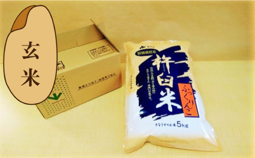 【玄米6ヶ月定期便】特別栽培「きなうす米」ふっくりんこ5kg×6回
