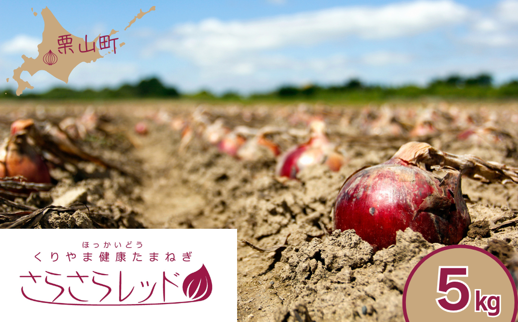 くりやま健康タマネギ「さらさらレッド」5kg