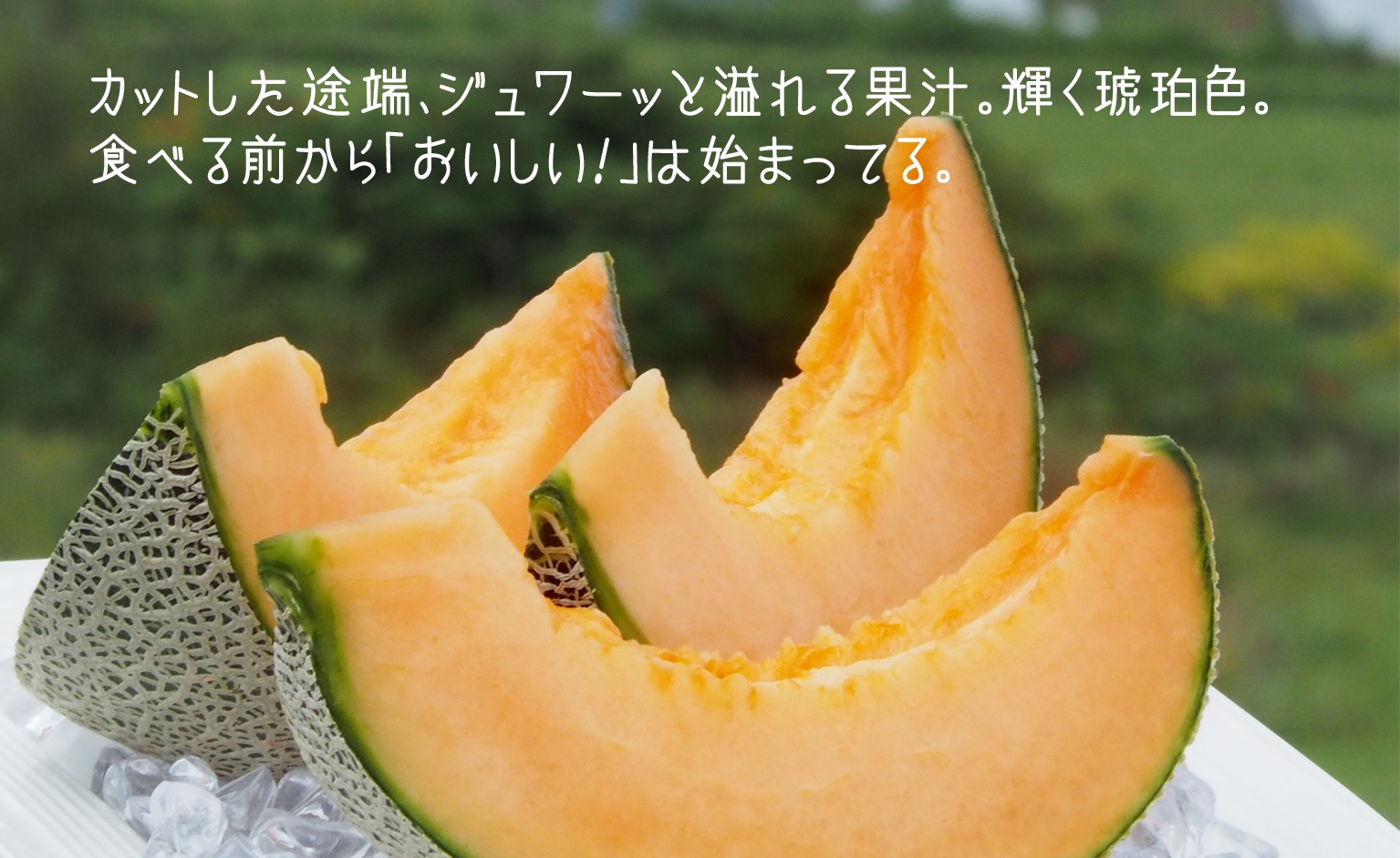 豊潤な香り「特選甘熟キングメロン」北海道産どっさり8.5kg!!