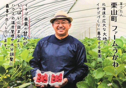 北海道栗山町産ファームうかわ 超大粒苺 正品 箱込み1kg 生いちご イチゴ