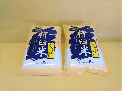 【精米12ヶ月定期便】特別栽培「きなうす米」ななつぼし10kg×12回