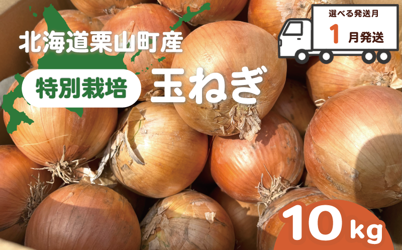 【2026年1月発送】越冬用特別栽培玉ねぎ10kg