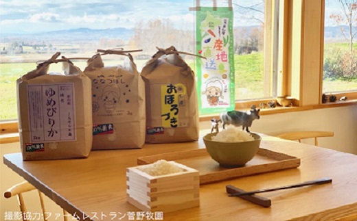 【北海道米定期便】納得！北海道米食べ比べ10kg×2回
