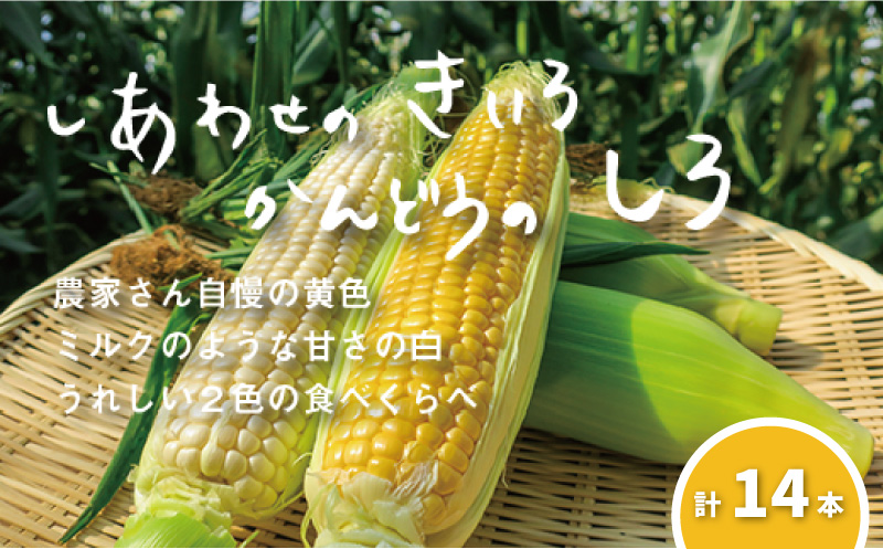 【先行予約】大地の恵み「とうもろこし2色セット」14本