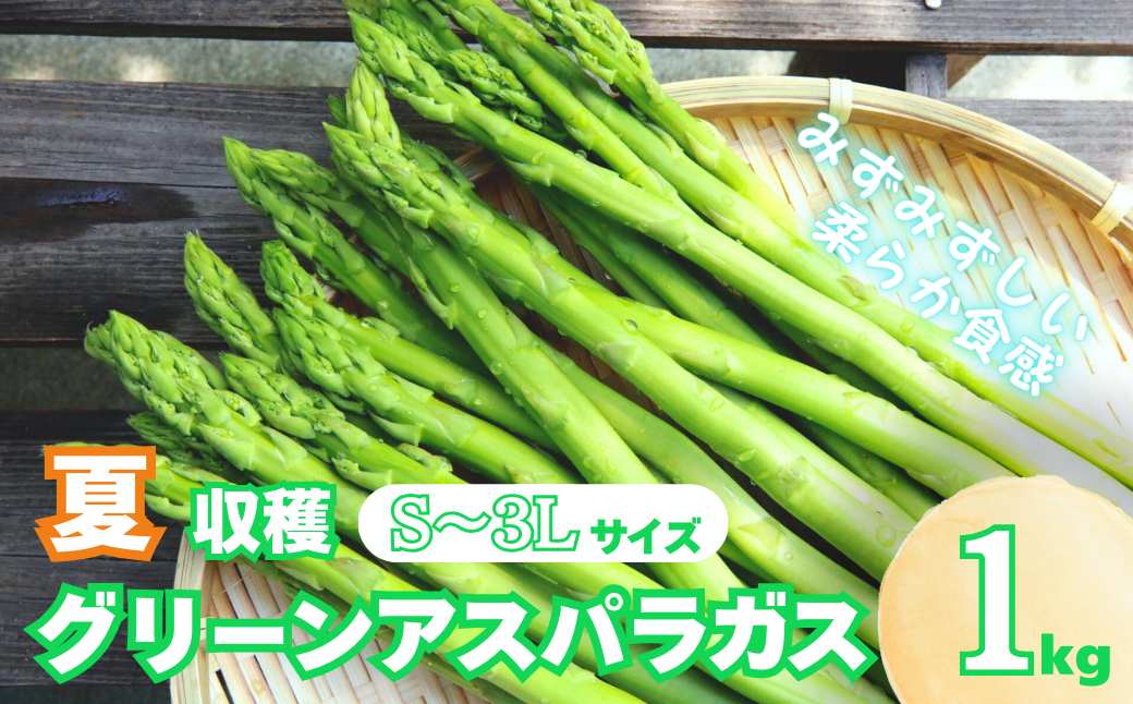 【先行予約】北海道産 夏採り！JAそらち南 夏の味覚「グリーンアスパラガス」S〜3L 1kg前後