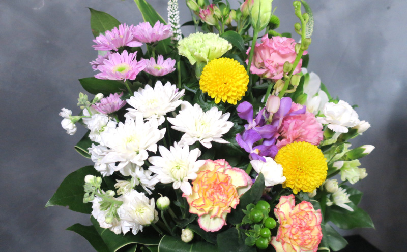 ããäŸãçšã¢ã¬ã³ãžãã©ã¯ãŒ9ã¶æå®æäŸ¿ããããããã®å
ãïŒå€§ïŒã®ãã察å¿å¯ äŸè± æ³äº åœæ¥