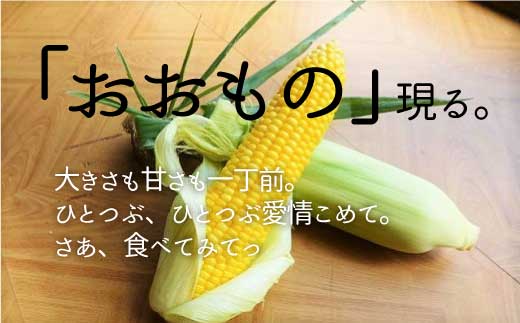 【先行予約】北海道栗山町産 スイートコーンその名は「おおもの」12本（池田農林）