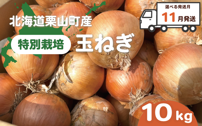 【11月発送】越冬用特別栽培玉ねぎ10kg