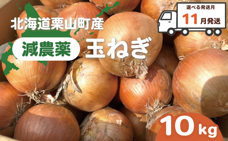 【11月発送】越冬用減農薬玉ねぎ10kg