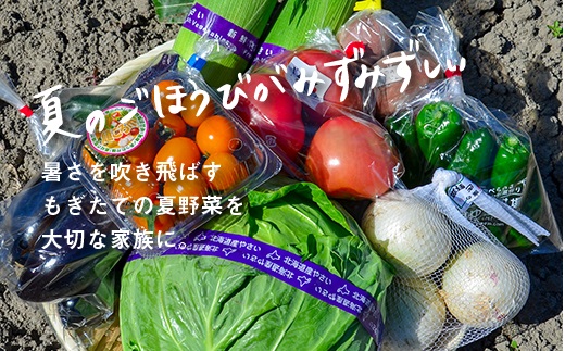 大地の恵み 「新鮮！夏野菜セット」