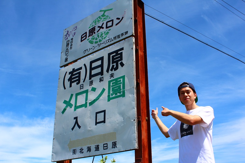 【先行予約】極上の一品「日原メロン」3玉×2品種食べ比べ定期便 北海道産赤肉メロン