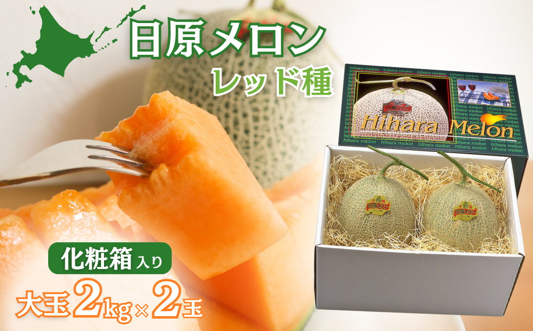 大玉「日原メロン（レッド種）」（2.0kg相当×2玉）カラー化粧箱入り