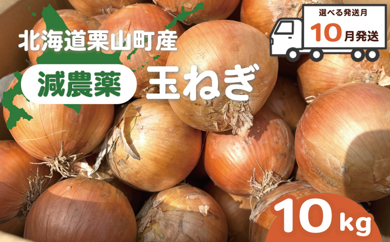 【10月発送】サラダにもOK！減農薬玉ねぎ10kg