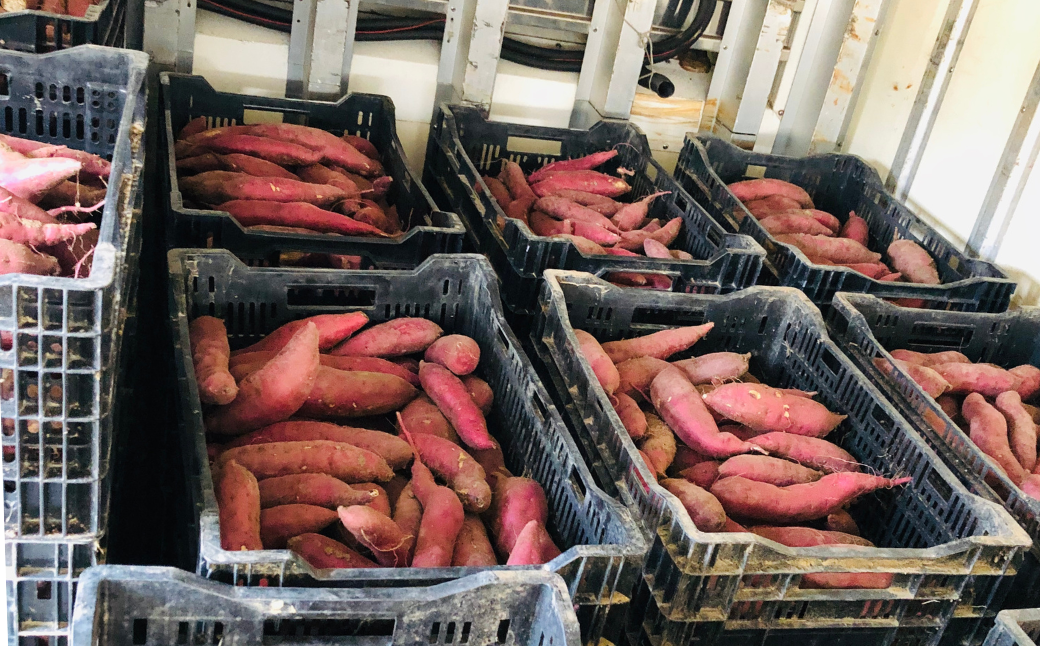 陷懊′縺励◆縺溘k蛹玲オキ驕鍋肇縺輔▽縺セ縺繧ゅ檎エ縺ッ繧九°縲4kg