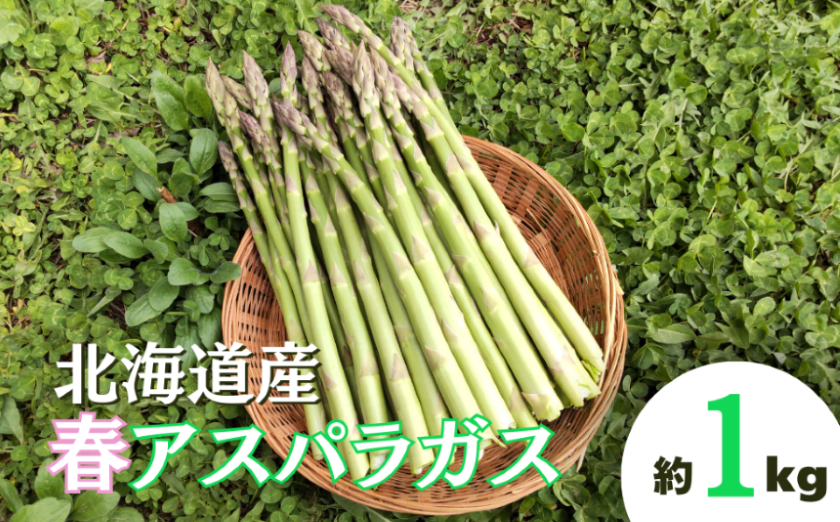 【2027年度産 先行予約】北海道栗山町産　春アスパラ 1kg程度　池田農林