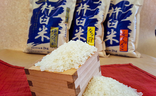 特別栽培「きなうす米」セット（無洗米）3品種15kg
