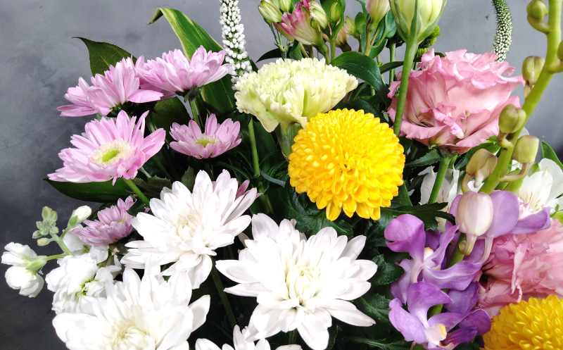 ããäŸãçšã¢ã¬ã³ãžãã©ã¯ãŒ9ã¶æå®æäŸ¿ããããããã®å
ãïŒå€§ïŒã®ãã察å¿å¯ äŸè± æ³äº åœæ¥