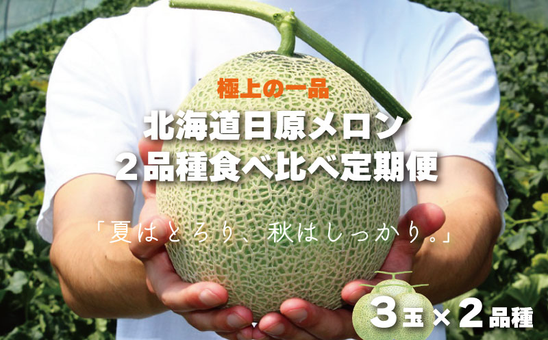 極上の一品「日原メロン」3玉×2品種食べ比べ定期便 北海道産赤肉メロン