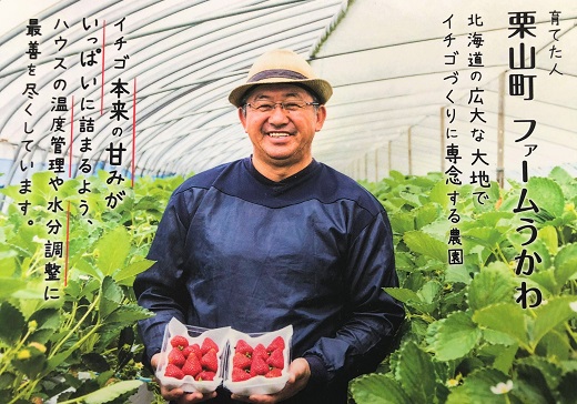 もぎたて！ファームうかわのいちご「赤い妖精」4パック