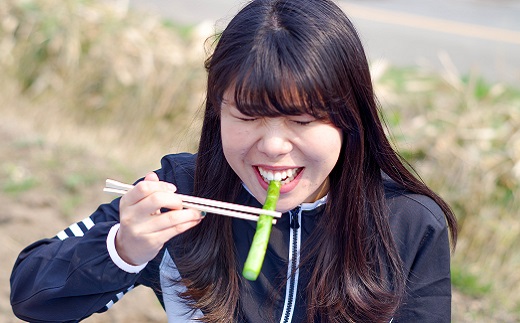 【先行予約】北海道産 夏採り！JAそらち南 夏の味覚「グリーンアスパラガス」S〜3L 1kg前後