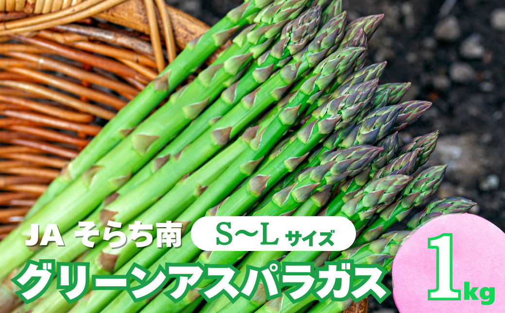 春一番！JAそらち南の味覚「グリーンアスパラガス」S～L 1kg前後