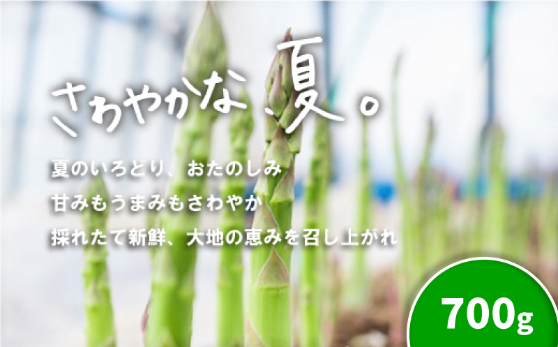 北海道産「夏採れ！北海道アスパラガス」700g