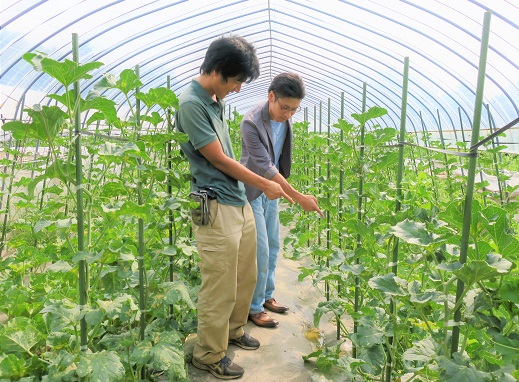 【先行予約・数量限定】北海道の森が育てた奇跡のキングメロン 2玉